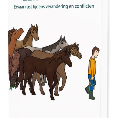 Handboek Leiderschap - Wendyvanmieghem.com