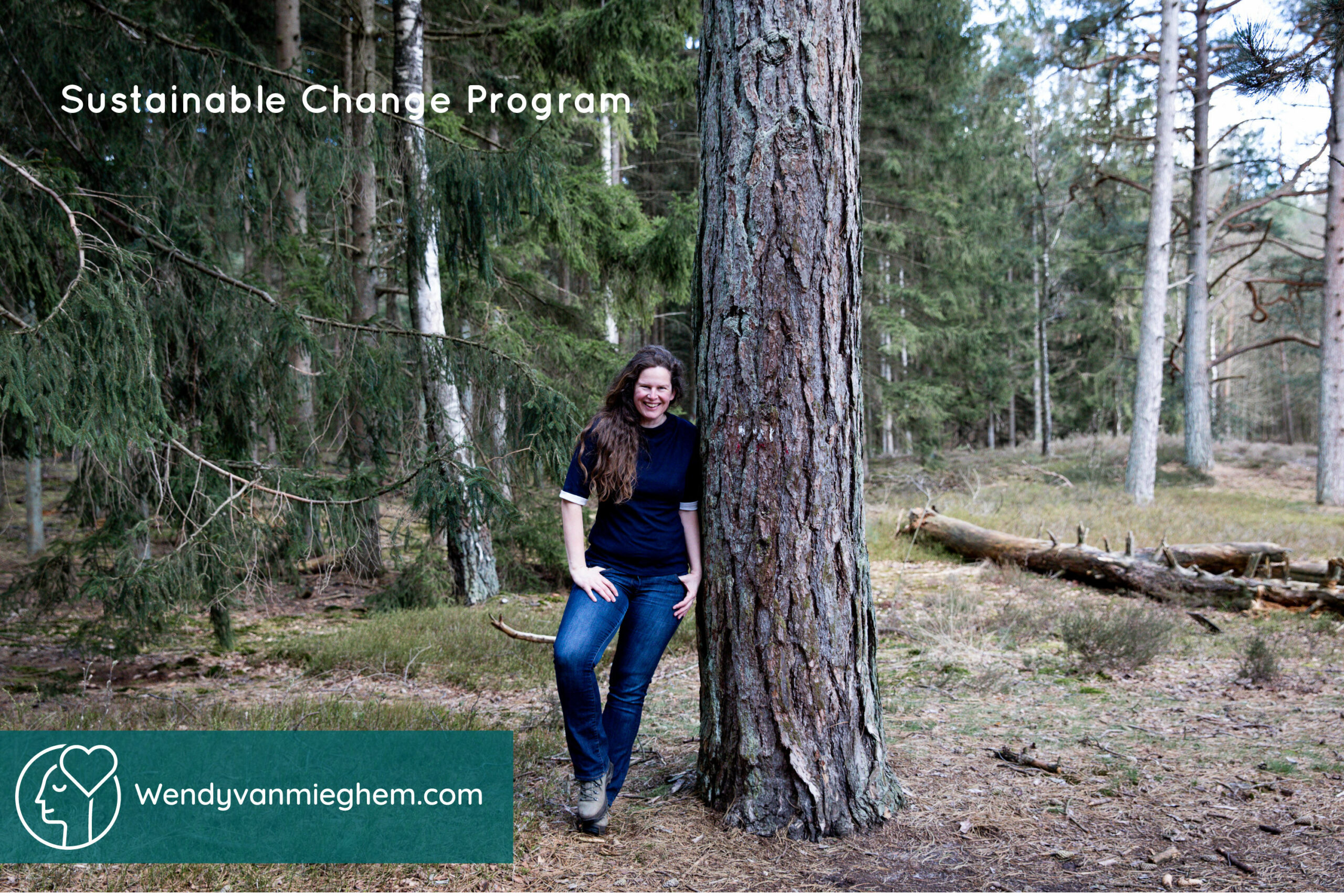 Sustainable Change Program header - Wendyvanmieghem.com