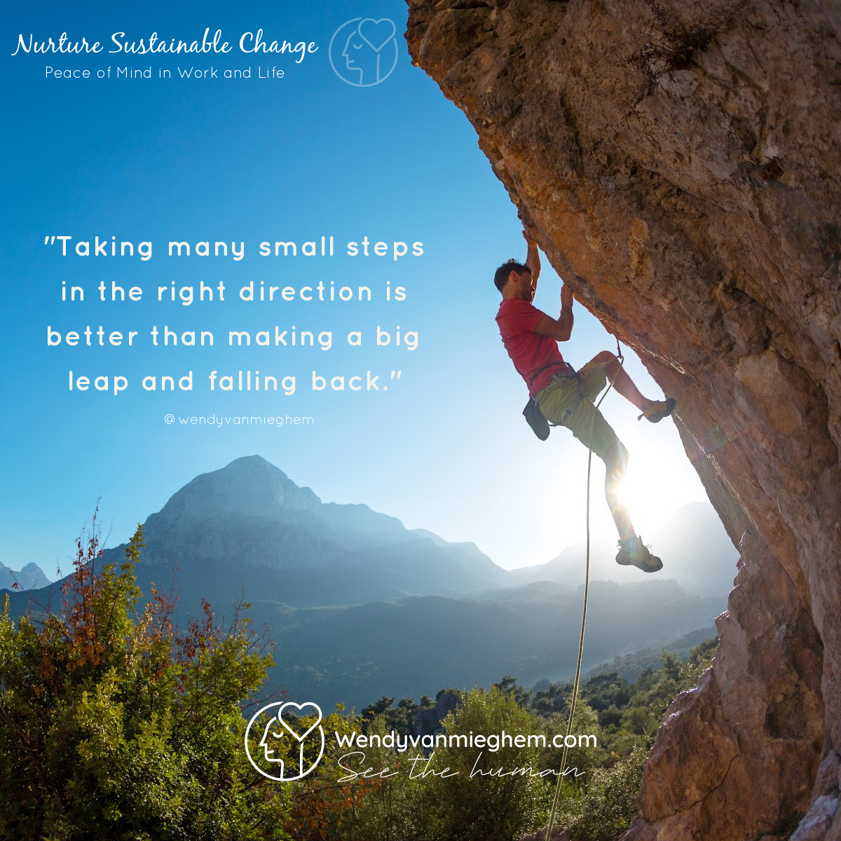 Strategie sessie boeken met Wendy - Wendyvanmieghem.com