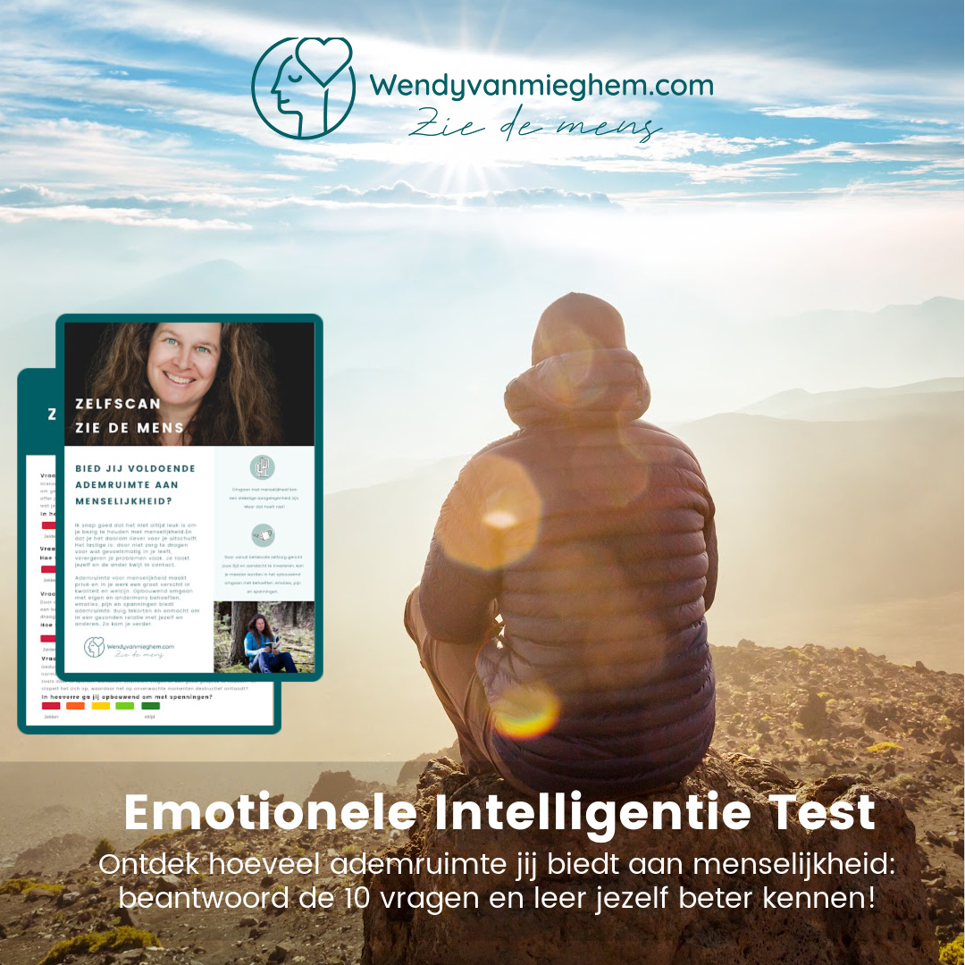 Emotionele Intelligentie Test - Wendyvanmieghem.com