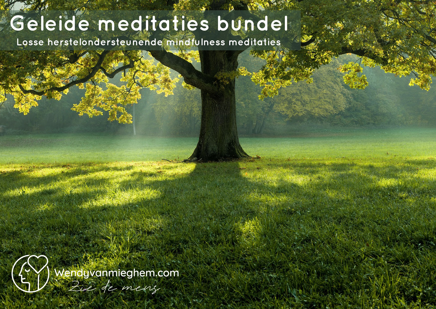 Geleide meditaties bundel - Wendyvanmieghem.com