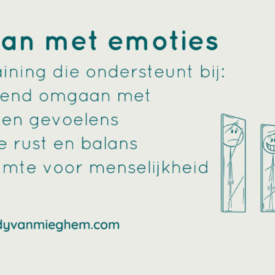 Omgaan met emoties online training - Wendyvanmieghem.com